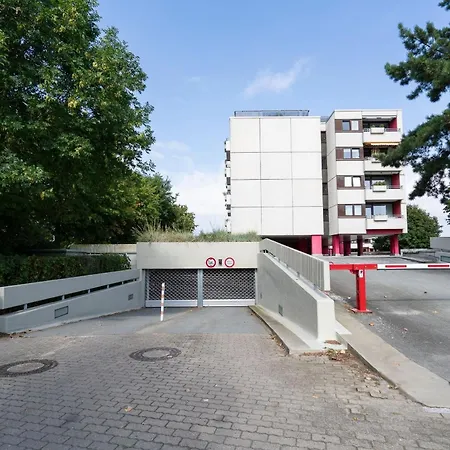 Berolina Sonnentau *