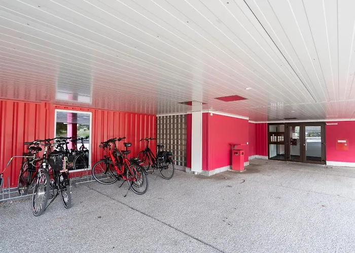 Berolina Sonnentau * Dahme (Schleswig-Holstein)